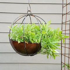 Globe Planters