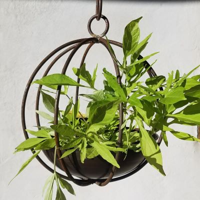Globe Planters