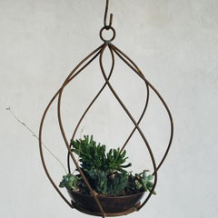 Camelot Hanging Topiary