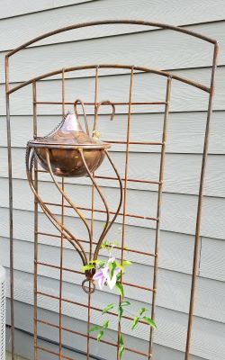 Trellis Torch