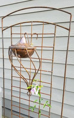 Trellis Torch