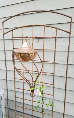 Trellis Torch