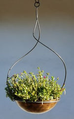 Gawain Hanging Topiary