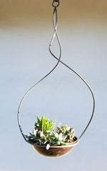 Gawain Hanging Topiary